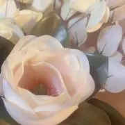 So.の画像