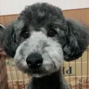 みさえ