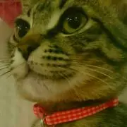 ななちゃと☆プロフ見てね