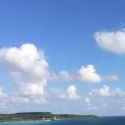 めいの画像