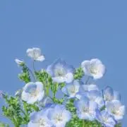 jaejaeの画像