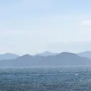メルツの画像