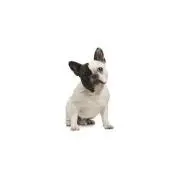 ☆*。の画像