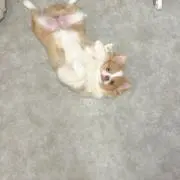 なつ