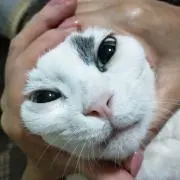 バントニオ・アンデラス