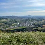 nibosi