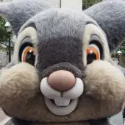 YAYAの画像