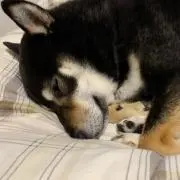 aki♪