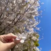 なぎさの画像
