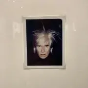 名古屋市引取限定 樹ら楽ステージ 8LDA10SY クリエダーク 2ケース人工