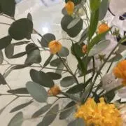まままままの画像