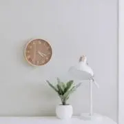 【断捨離セール中】にもの画像