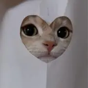 Lの画像