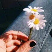 ☺︎プロフ必読の画像