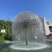 ドンキーの画像