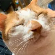 タッキナルティ