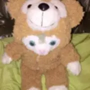 もきみ