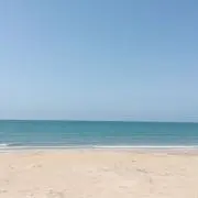 ちゃま