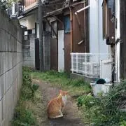 music manの画像