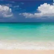 sleeps プロフィール一読して下さいの画像