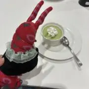 朱鶴の画像