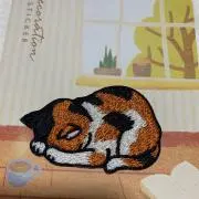 くーの画像