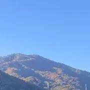 木刀