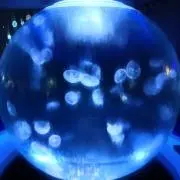 禁煙、ペット無しの画像