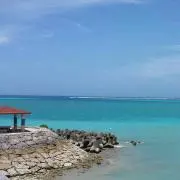 omnの画像