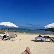 風の画像