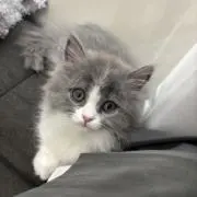 のむのむの画像