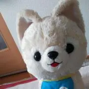 すずめ◎