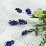 maru *プロフィール必読の画像