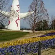 ぴょんちーの画像