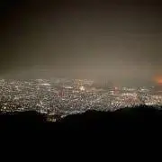 ブロッコリーの画像