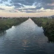 misumiの画像