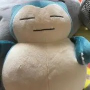 コンニチはの画像