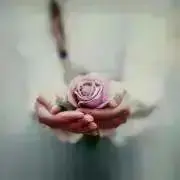 Roseの画像