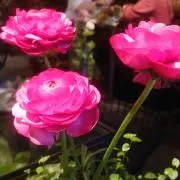 mocomocoの画像