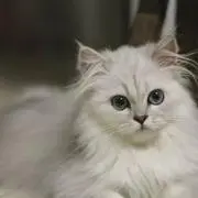 まいの画像