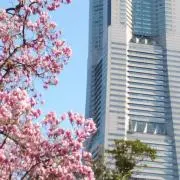 イチゴじぃじ