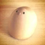 貞奴