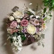 ありすの画像