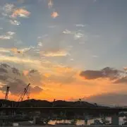 ちょこの画像