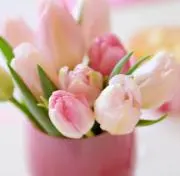 しずく
