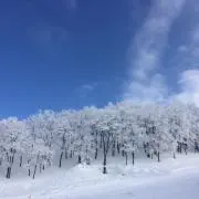 yuki