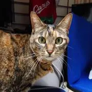 ゆうの画像