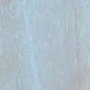 パパの画像