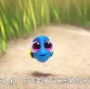 Yの画像