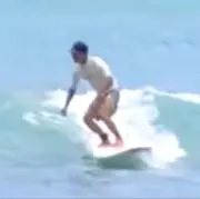 paroの画像